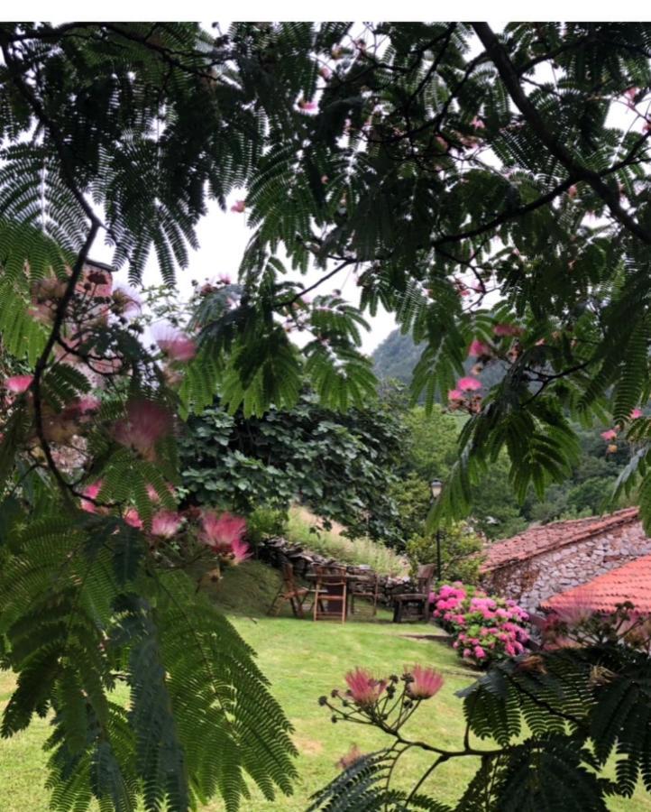 Hdec Hosteria De Castaneda Alojamiento Turistico Puente Viesgo Exterior foto