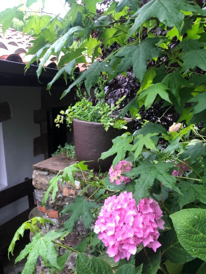 Hdec Hosteria De Castaneda Alojamiento Turistico Puente Viesgo Exterior foto
